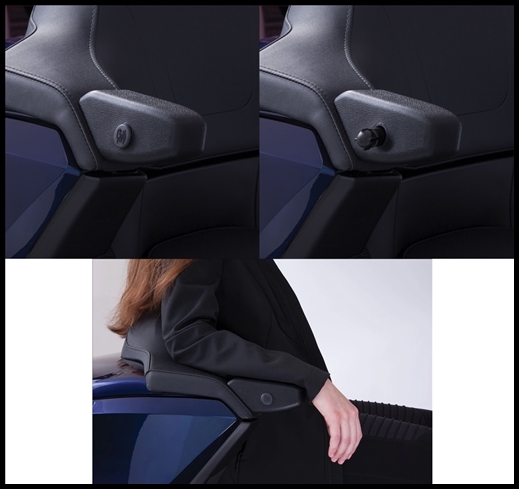 GOLDSTRIKE - Passenger Armrest for Gold Wing Tour